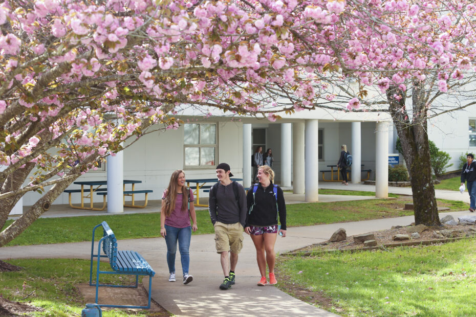 Students walk on the Hardin Valley Campus during a spring semester.